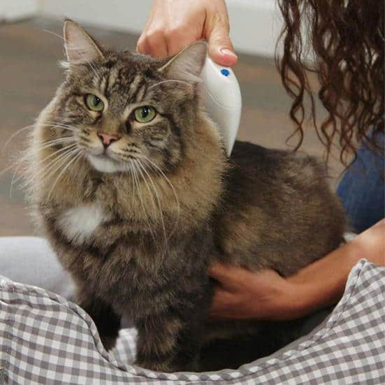 Електричний гребінець від бліх для собак та котів