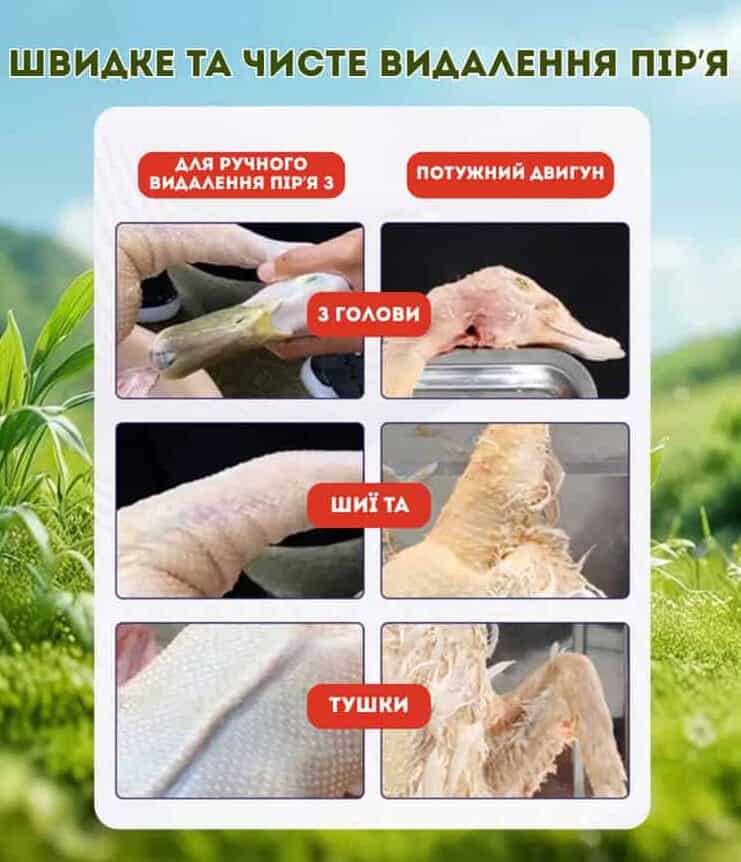 Електрична машинка для вищипування пір'я