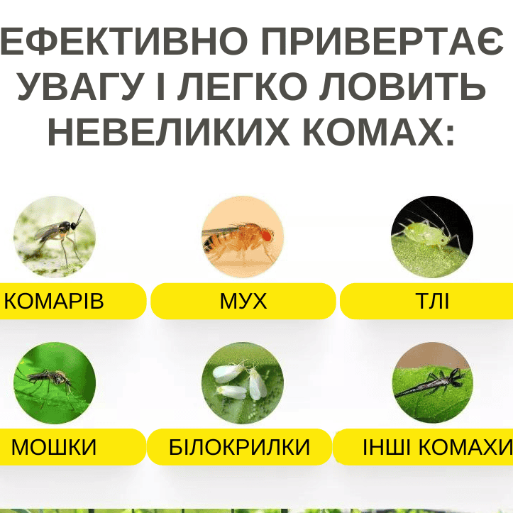 Липка пастка від шкідників та комах 10 шт