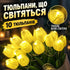 Світлодіодний букет-нічник тюльпани 10 шт